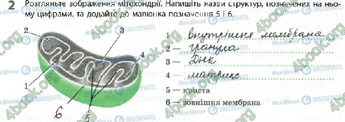 ГДЗ Биология 10 класс страница Стр.26 (2)